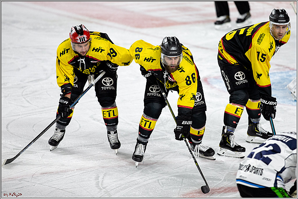 DEL;  Koelner Haie - Straubing Tigers; Koeln, 01.03.2020